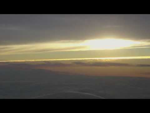 The Smiling Crocodiles and a Pint of Love (Live 2009)