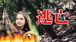 猟師二人が林業作業員を誤射し、逃亡した事件【 厚真猟銃事件】解説