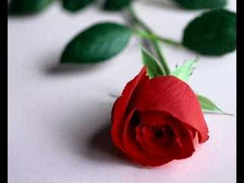 Dj Meto ft. Tomakinler - Duyunca