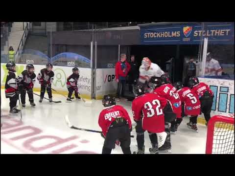 Täby HC Team 09 på Hovet