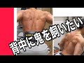 背中トレ解説動画
