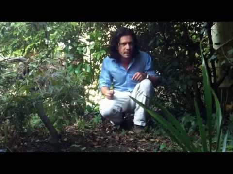 The Shrew - a poem by Mike Galsworthy || Spoken Word