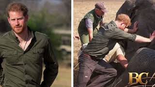 Prince Harry quits board of wildlife charity after rangers’ human rights abuses
