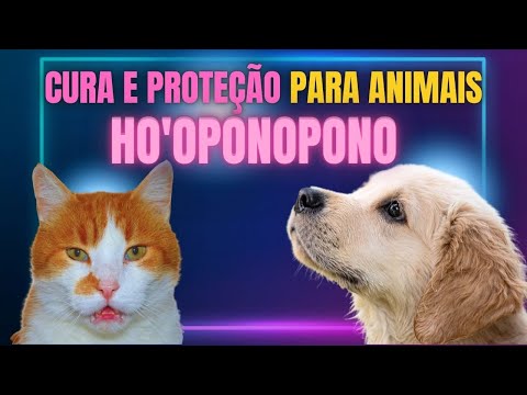 Unlock the Power of Quantum Prayer: The Miracle Healing Method for Your Pets!