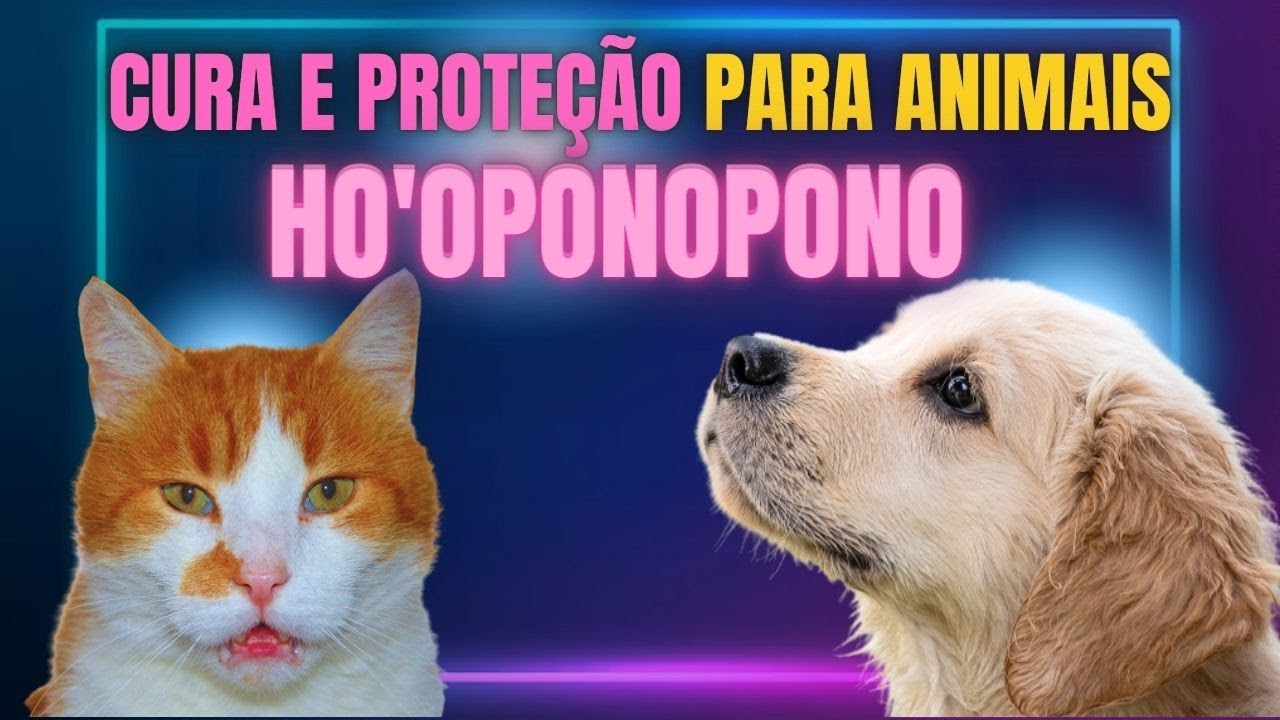 Desbloqueie o Poder da Oração Quântica: o Método de Cura Milagrosa para seus Animais de Estimação!