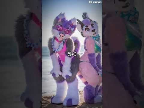 Furries V. Anti-Fur#Furryfandom#furry#antifurry#whowins