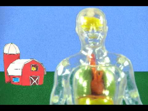 Simulated Cock Fun & Virtual Balls