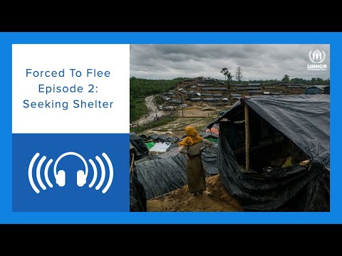 Forced to Flee #PODCAST | Episode 2:  Seeking Shelter 🔊🔊