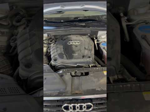 Thumbnail for Dirty car Audi A4 engine wash satisfying #carcleaning #automobile #audi by Audi A4