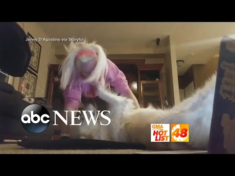 'GMA' Hot List: Dog disrupts someone's yoga session in hilarious video