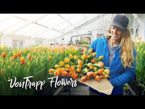 Shocking way to grow 200,000 GORGEOUS tulips in the WINTER in Vermont!