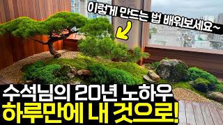 단 하루 투자로 평생 자랑할 소나무를 얻는 법(프리미엄 개작 특강)