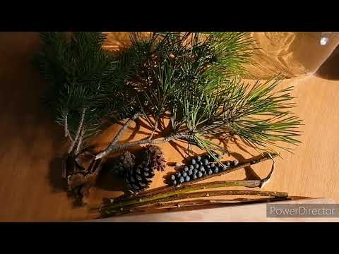 Selbstgemachter Franzbranntwein für müde Beine, Einreibung gegen Rücken Schmerzen, Volksheilkunde