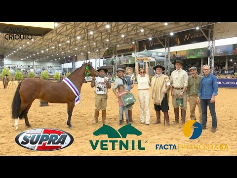 Basca Herdeira - 4ª Melhor Fêmea na Morfologia da Expointer 2023