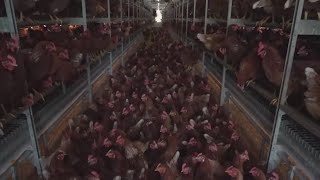 Trump Follows Thru on Another Promise