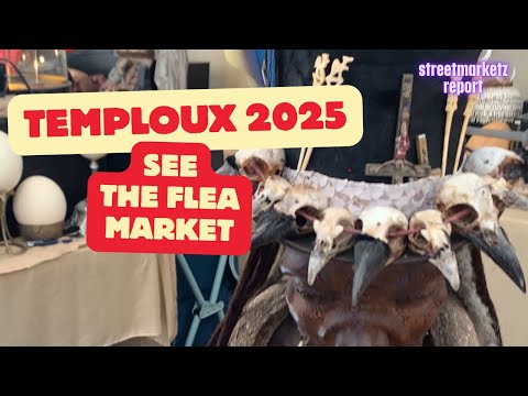Walkthrough | Temploux Flea Market 2025 | Belgium’s Biggest Brocante! 🇧🇪