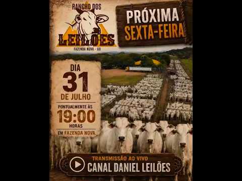 Fazenda Nova  - GO   31/07/2026