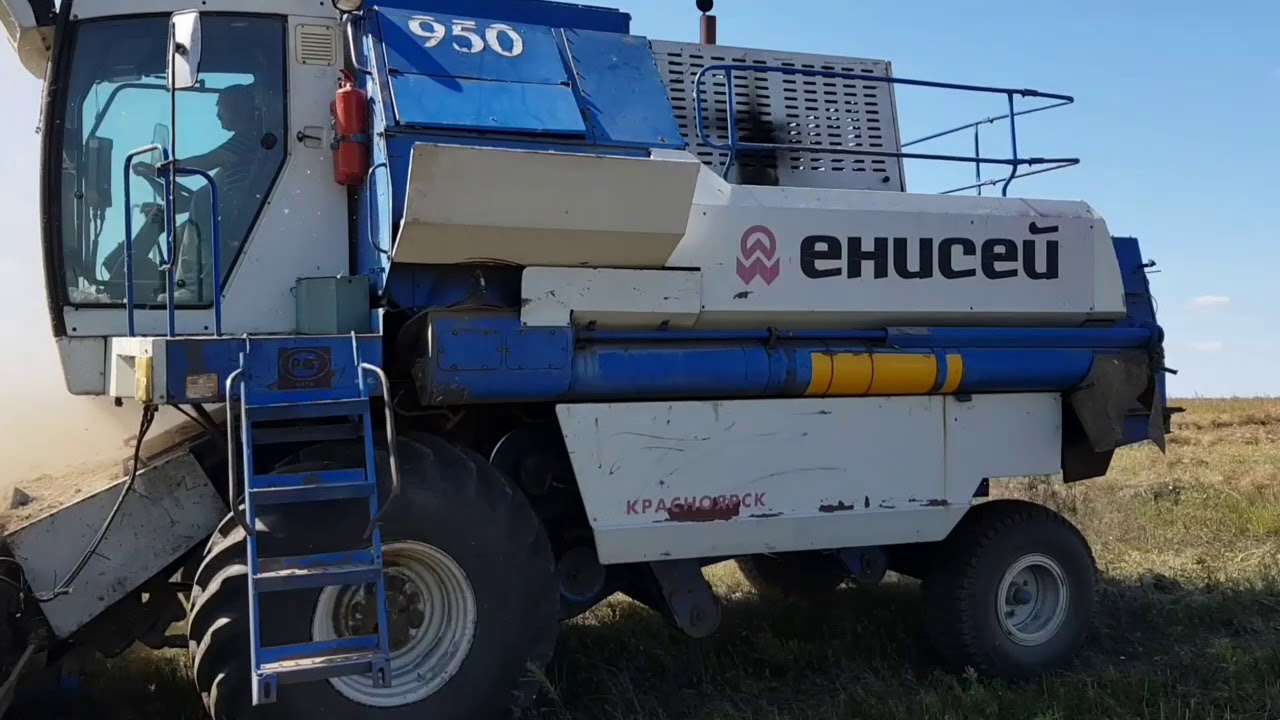 Уборка фацелии раздельным способом