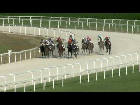 2017.04.09. 8. futam - ARANYESŐ HENDIKEP (V/b.) (szintetikus pálya)