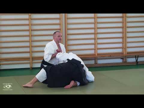 Aikido: Stephane Goffin Balaton Seminar 2023 Summary