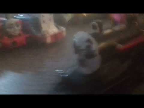 Percy Ghost train Mist. Ari  😱🔥