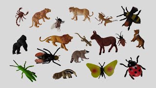 Download lagu Suara Serangga, Tonggeret, Belalang, Lalat, Nyamuk, Jangkrik, Tawon, Lebah, Capung, Iguana, Singa mp3