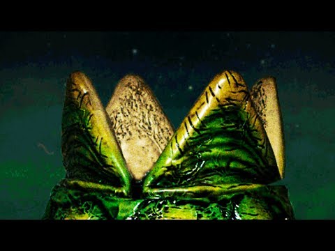 Alien Egg To Hide Your Stuff! -- Game LÜT