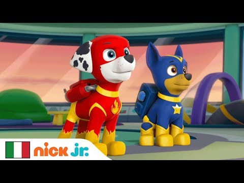 download lagu mp3 mp4 Paw Patrol Cartoni, download mp3 Paw Patrol Cartoni free download mp3, download mp3 Paw Patrol Cartoni