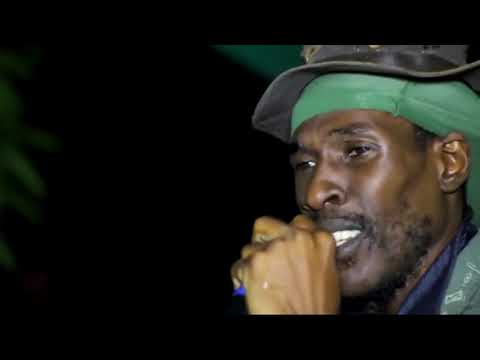 DUB IN THE RAINFOREST  -  Pressure "Feeling Fine" feat. Midnite "No fear no sorrow"
