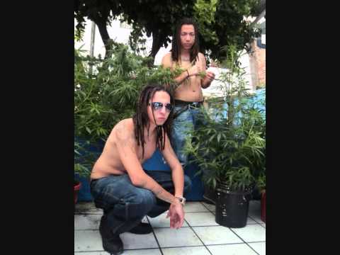 Real Rangsta featuring Black Mama - Primer Comunicado Audio