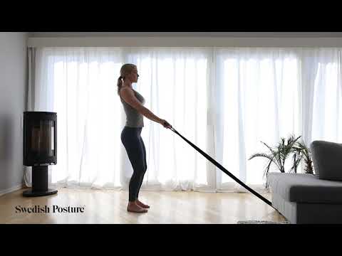 Mini Gym Swedish Posture