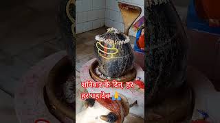 Download lagu Bokeh: The Ultimate-Guide to Blurry Backgrounds #Shorts mp3 Download lagu Bokeh: The Ultimate-Guide to Blurry Backgrounds #Shorts mp3