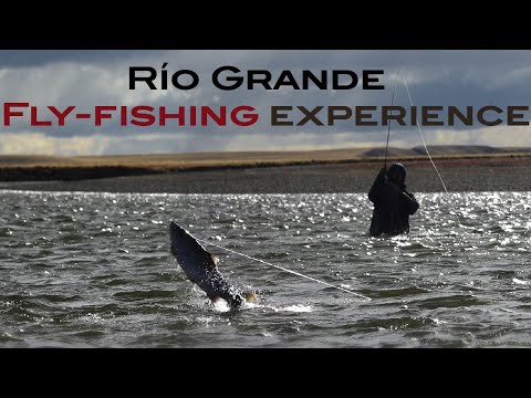 Fly fishing Giant Sea-run trout at Villa María Lodge - Argentina 2019