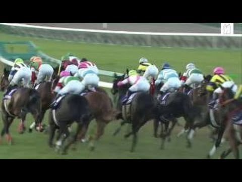 2016/12/11 第68回 阪神JF（GⅠ）《パドックVTR》