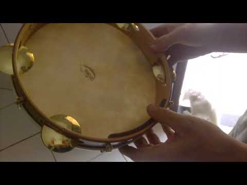 WP 20181105 13 37 19 Pro