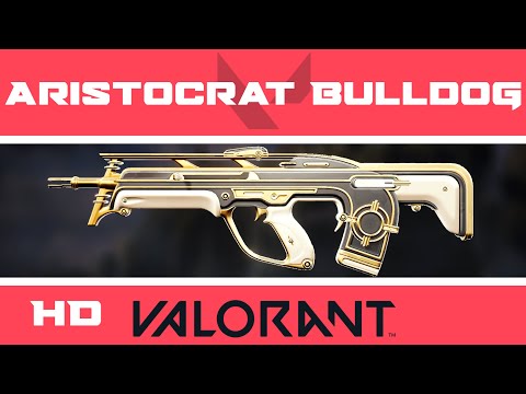Aristocrat Bulldog VALORANT Skin | HD Skins Showcase