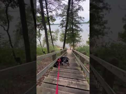 stairs to swim area