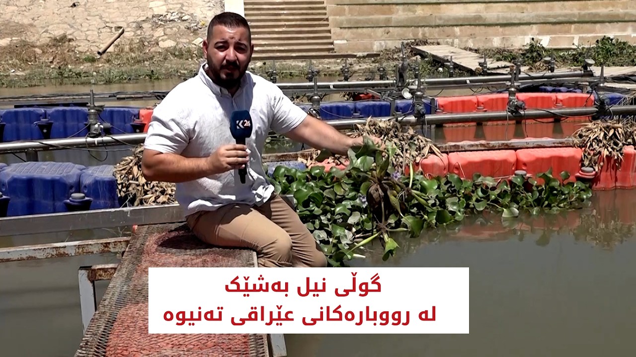 ڤیدیۆ | گوڵی نیل بەشێک لە رووبارەکانی عێراقی تەنیوە