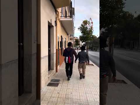 Orange Trees with full of fruits are all over the streets of Porto Cristo Palma de Mallorca.