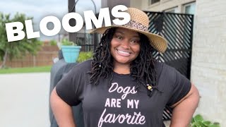 🔴LIVESTREAM: BLOOMS in the Garden 🪴