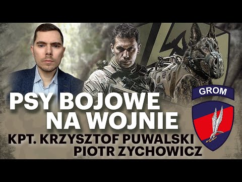 Psy w siłach specjalnych. Żołnierz „Grom” o wojnie na Ukrainie - Krzysztof Puwalski i P. Zychowicz
