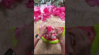 Sweet  Dollar Tree Upcycle 🍉💕