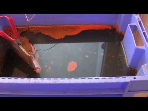 Electrolysis - Rust Removal Guide for Beginners