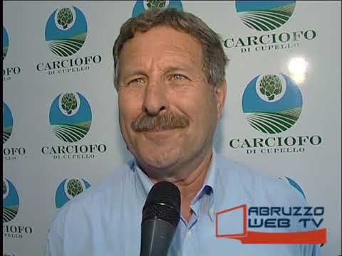 Virtus Cupello Pineto 1 0 04 05 2008