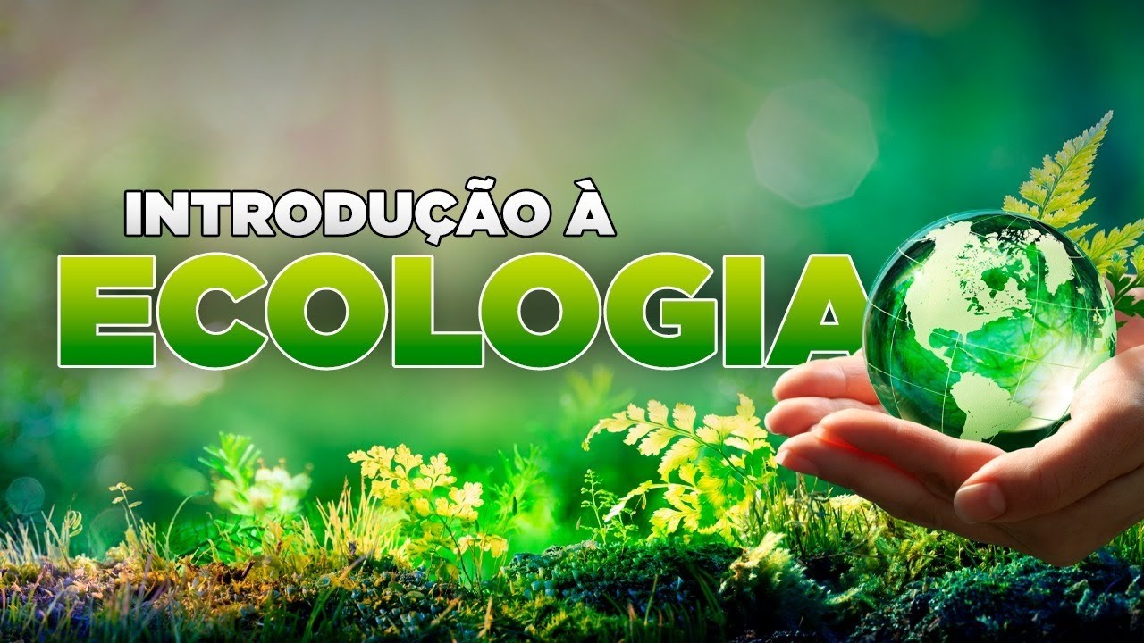 Cadeias e Teias Alimentares |ECOLOGIA para o ENCCEJA|