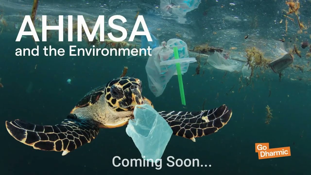 Ahimsa and Environment | Making Peace With Nature Trailer