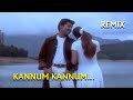 Kannum Kannum Thaan Remix