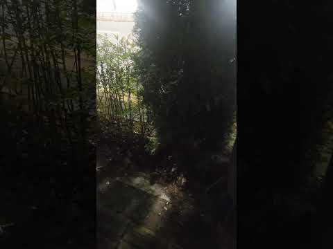 오늘도 1공수 17만원 | 반도체 현장 출근 브이로그 #노가다브이로그 #평택반도체
