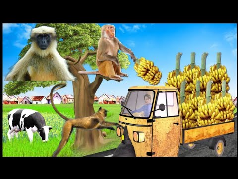 जय श्री राम  बंदर सर्दियों में कैसे केला खाते हैं #shivampatelonlinegaming ‎@shivampatelonlinegaming