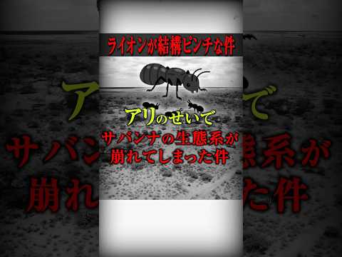 動物のバランスの崩れ